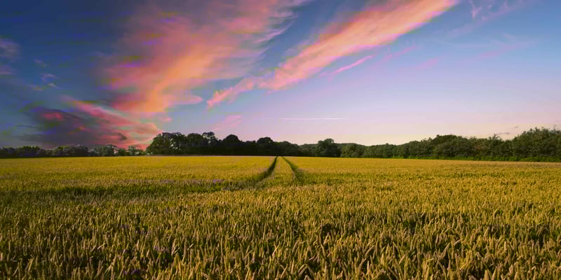 Agricultural Equipment Finance: Your Options