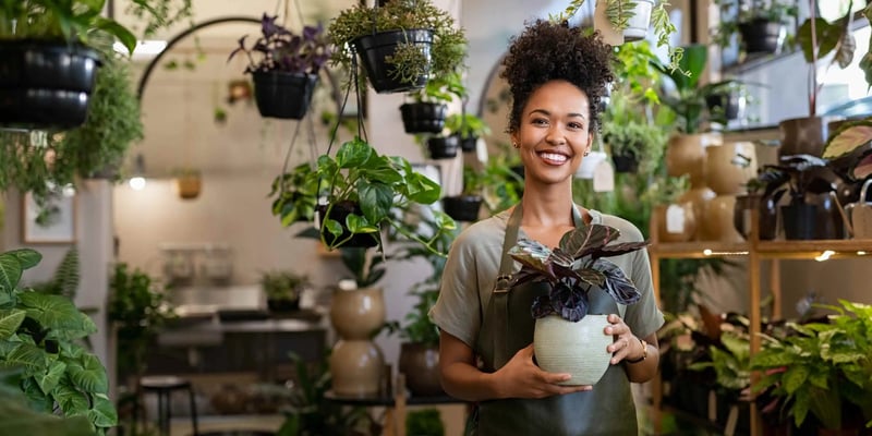 Who Can Get a Business Loan? Opportunities for Small Businesses