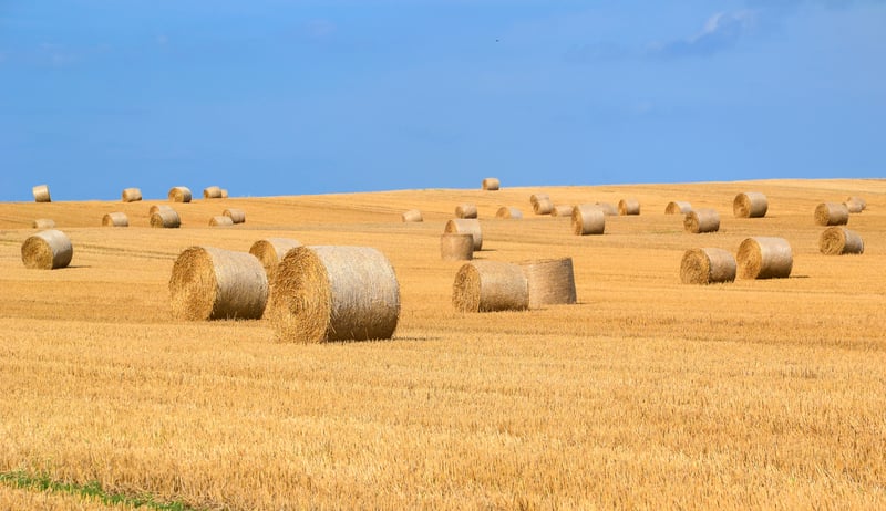 See How Amazing Farming Technology Is Transforming Agriculture