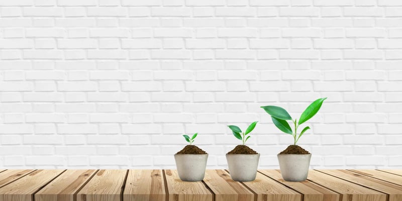 Get Funded, Get Growing: Essential Tips for Securing Business Funding